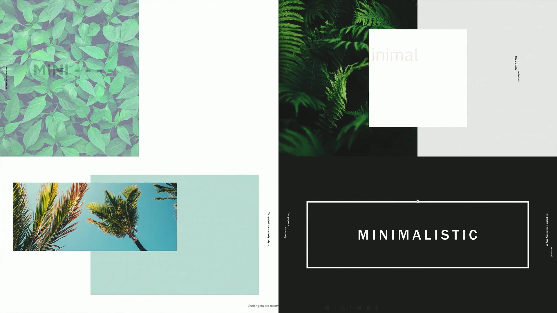 Minimal Typography Pack | Zeus Videohive 23276209 After Effects Image 5