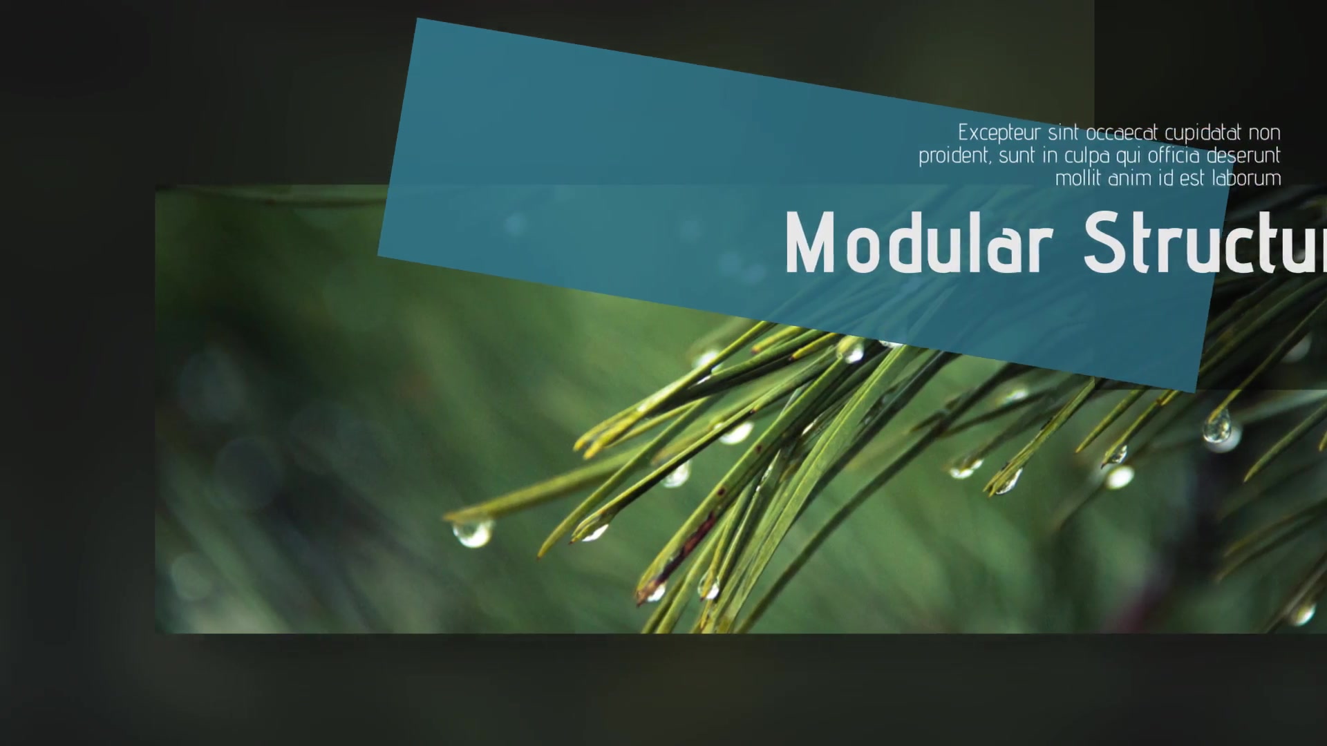 Minimalist & Clean Presentation Videohive 21477462 After Effects Image 4