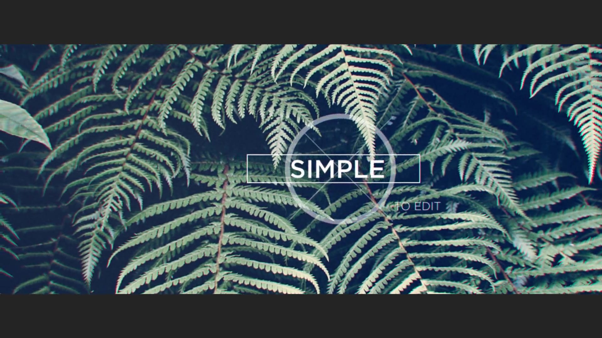 Minimalist Videohive 13117748 After Effects Image 5