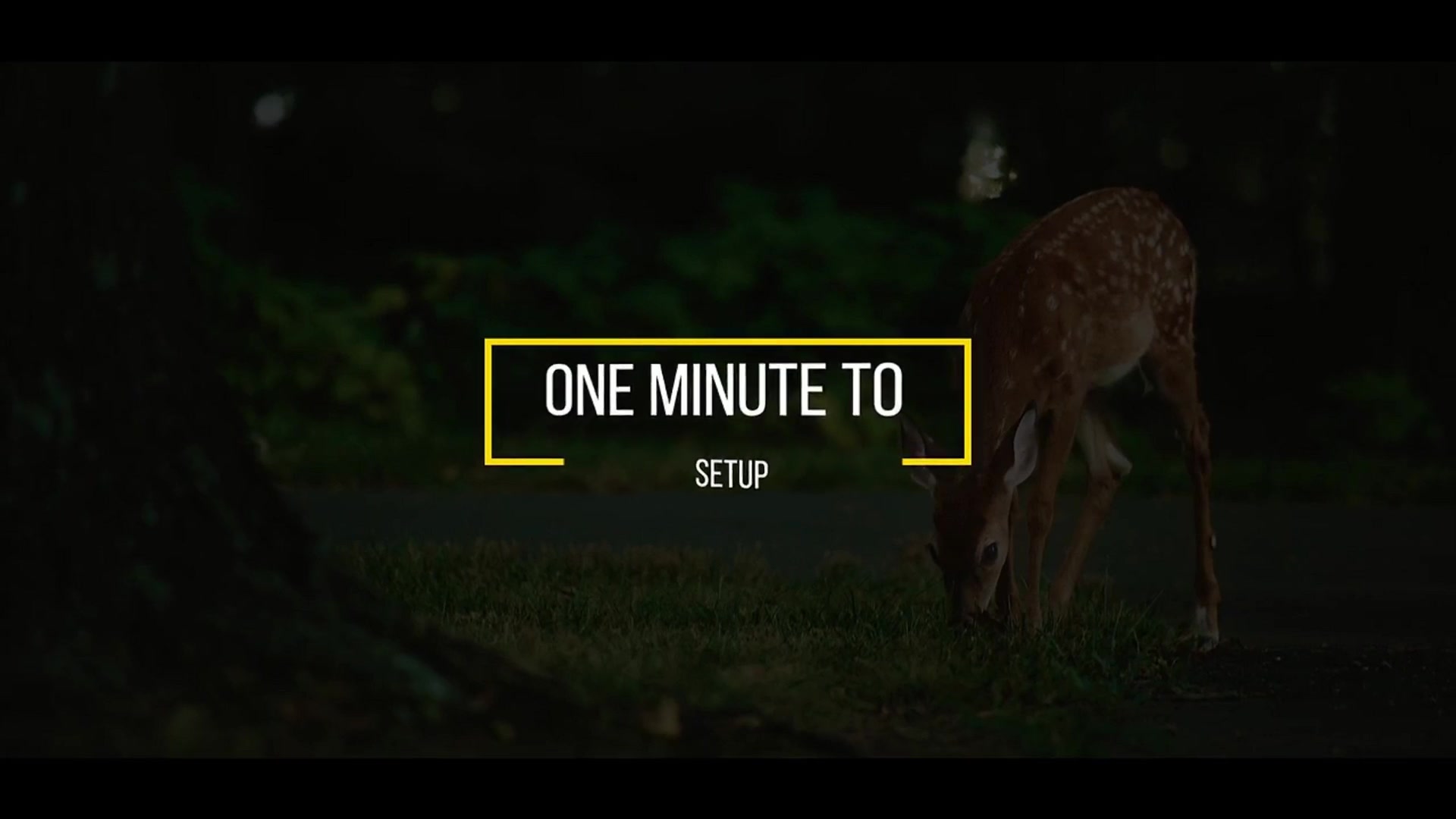 Minimalistic Titles for Premiere Pro | Essential Graphics Videohive 22280748 Premiere Pro Image 8