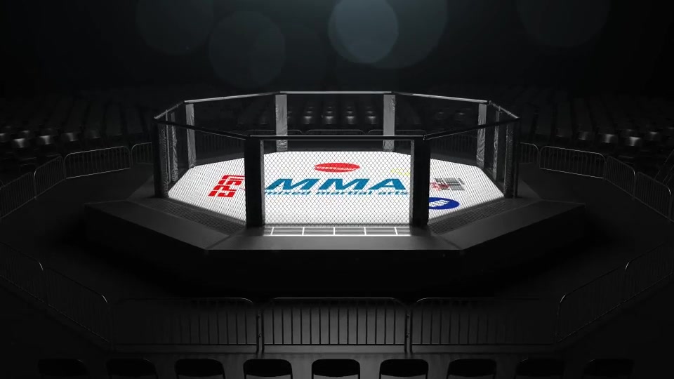 MMA Logo Sting Videohive 10231624 After Effects Image 10