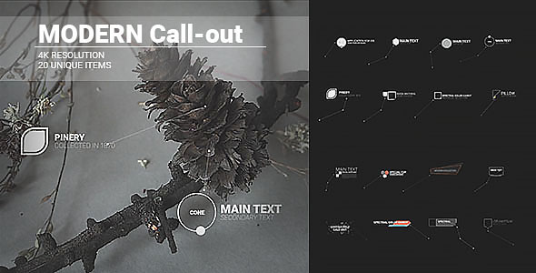 Modern Call outs - Download Videohive 19600715