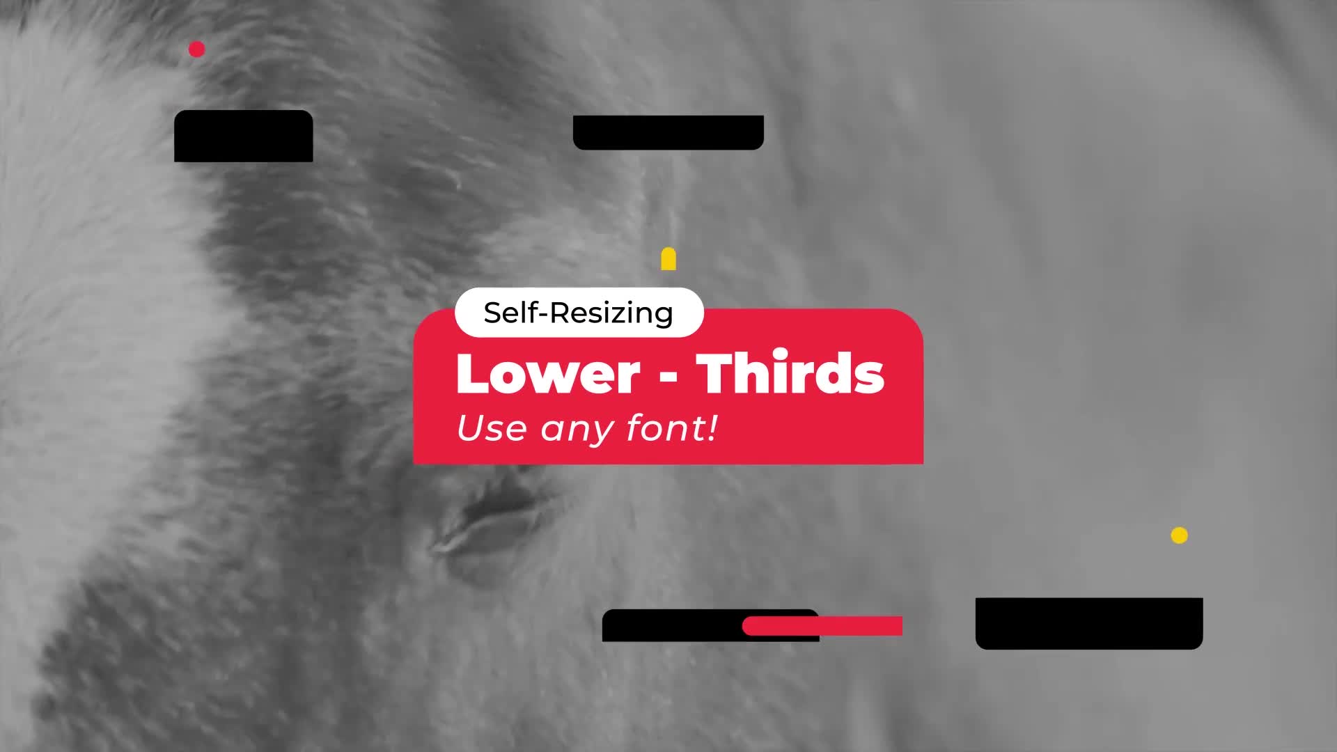 Modern Lower Thirds Videohive 30450575 Premiere Pro Image 1