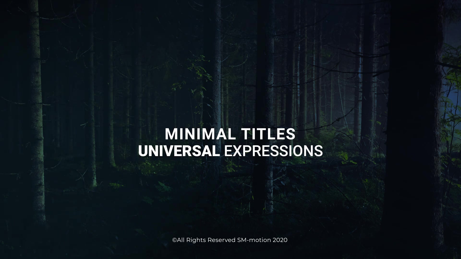 Modern Motion Titles Videohive 28502699 After Effects Image 8