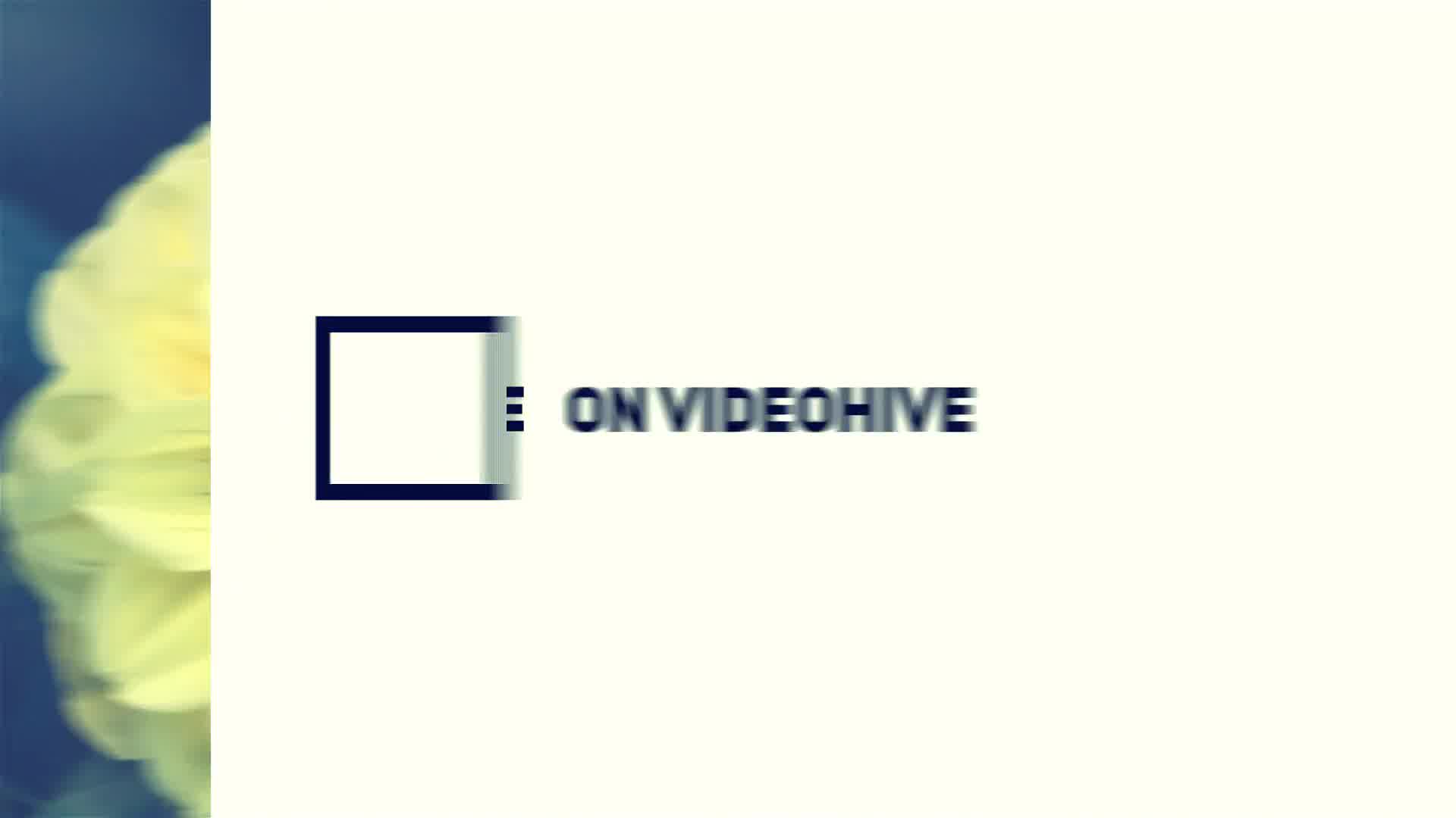 Modern Opener - Download Videohive 19678057