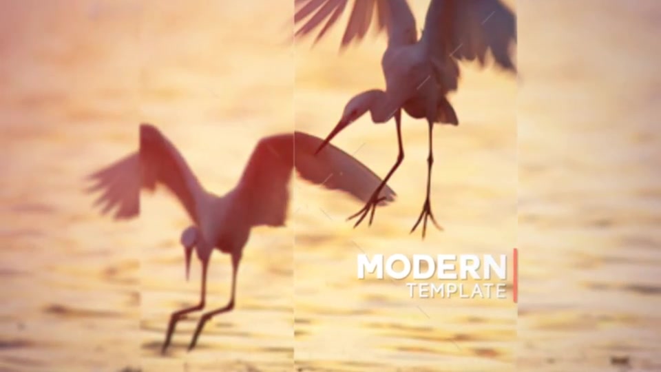 Modern Slideshow 2 Videohive 13157121 After Effects Image 12