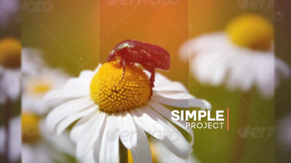 Modern Slideshow 2 Videohive 13157121 After Effects Image 5