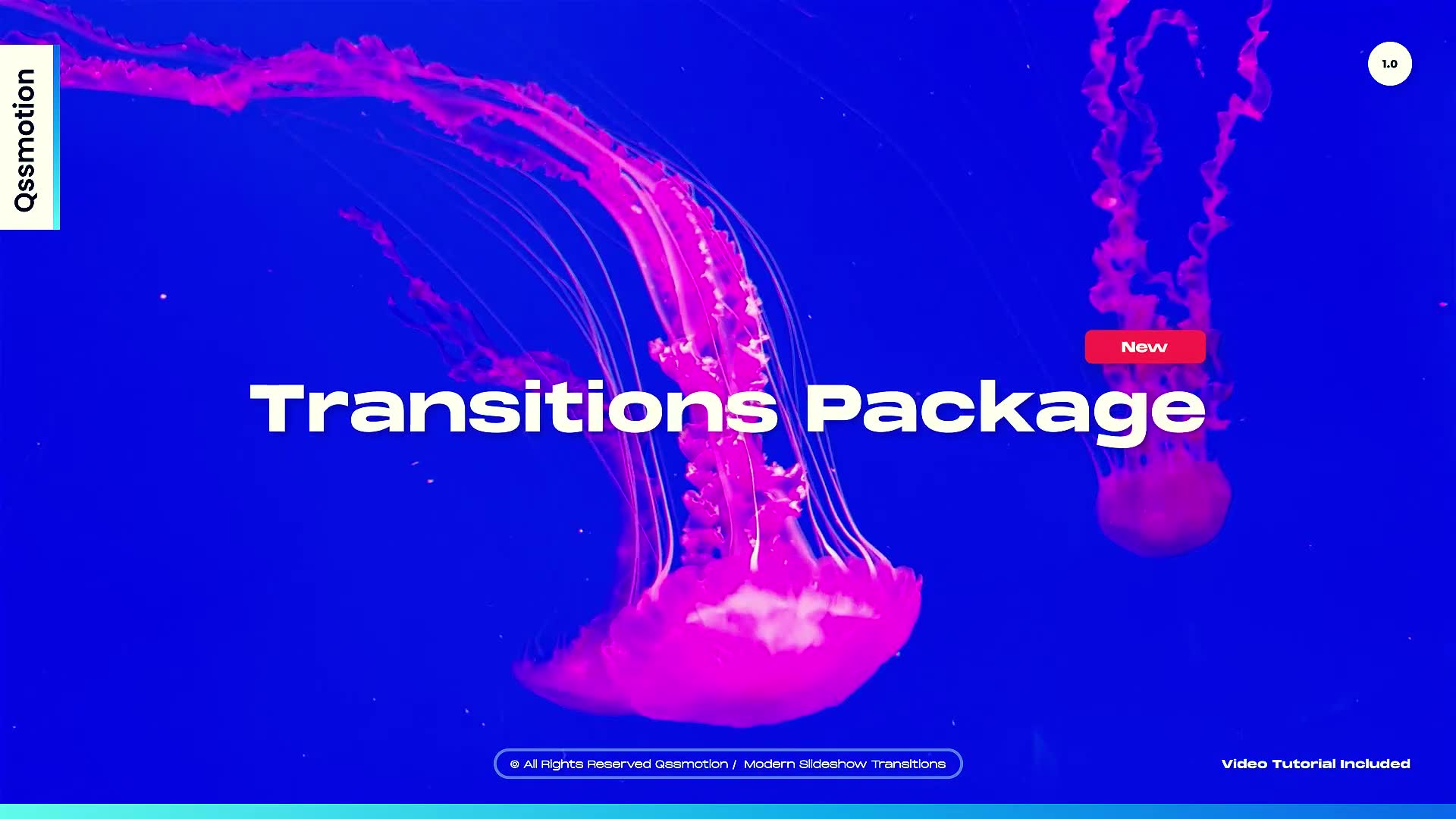 Modern Slideshow Transitions Videohive 36087464 After Effects Image 2