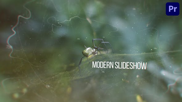 Modern Slideshow - Videohive Download 37857493