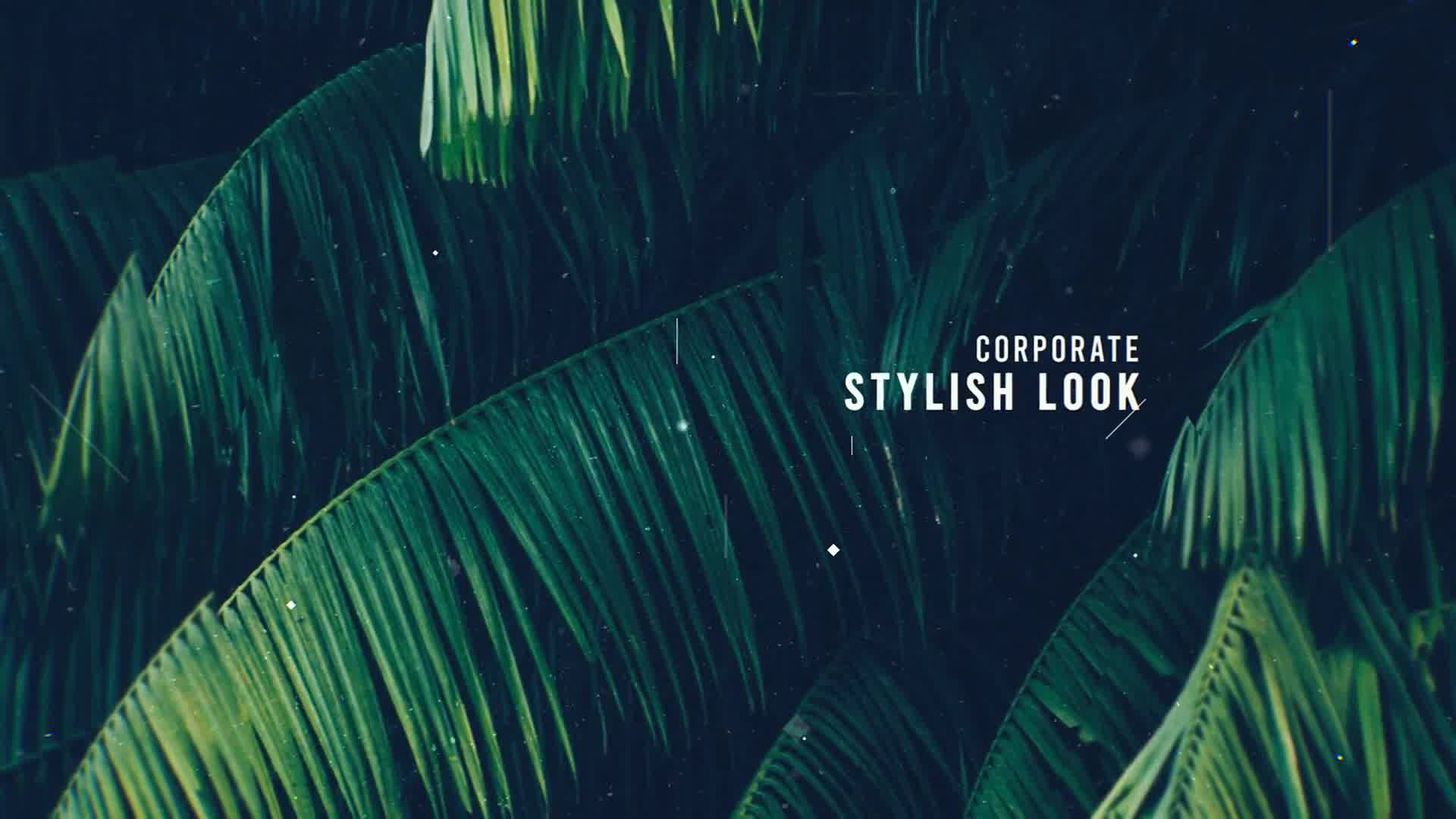 Modern Stylish Slideshow Videohive 23716845 After Effects Image 10