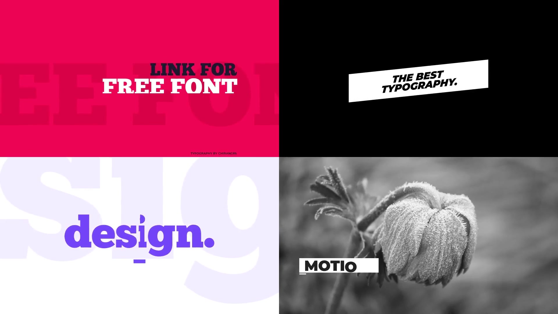 Modern Titles and Typography Videohive 23245130 After Effects Image 5