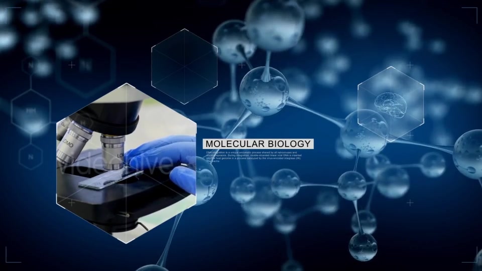 Molecule - Download Videohive 18382470