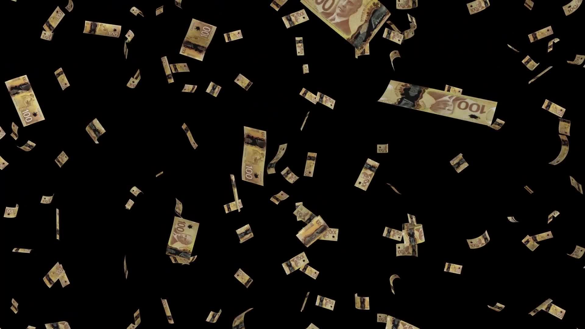 Money Elements Pack Videohive 32183975 After Effects Image 1
