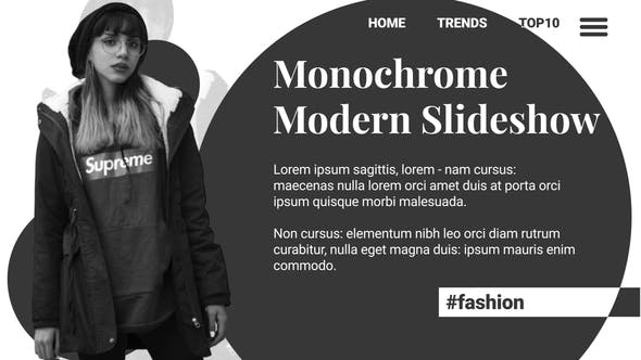 Monochrome Modern Slideshow - 25995956 Videohive Download