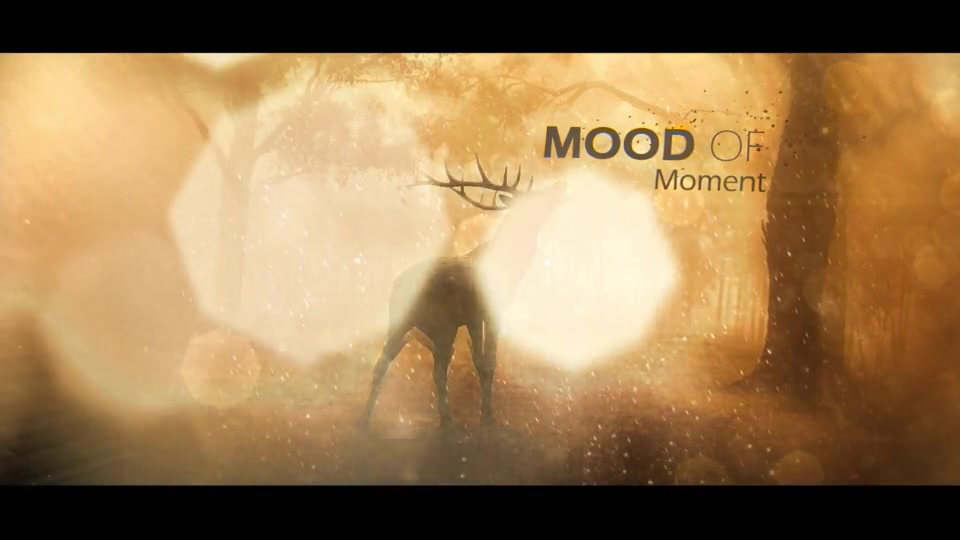 Mood Of Moments Parallax Opener - Download Videohive 20672854