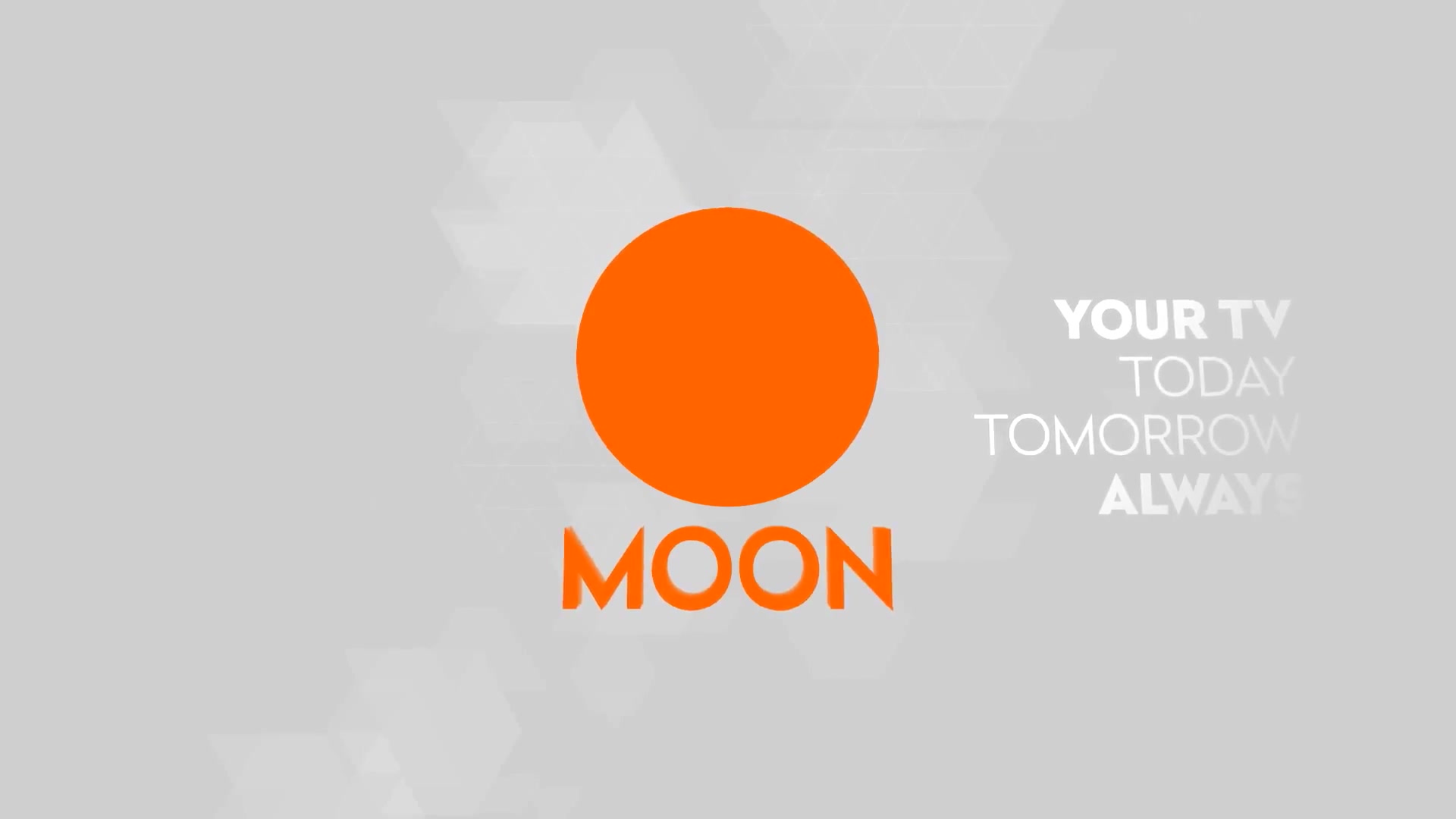 Moon TV Pack/ Broadcast Ident/ TV Graphics/ 3D Intro/ Transitions/ Lower Third/ Fashion and Food Id Videohive 12910425 After Effects Image 11