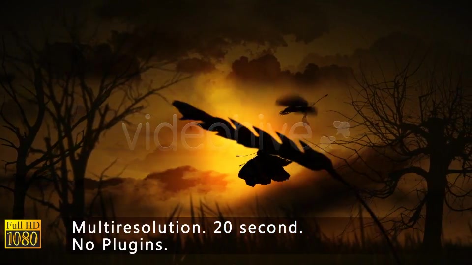 Morning Opener - Download Videohive 3368724