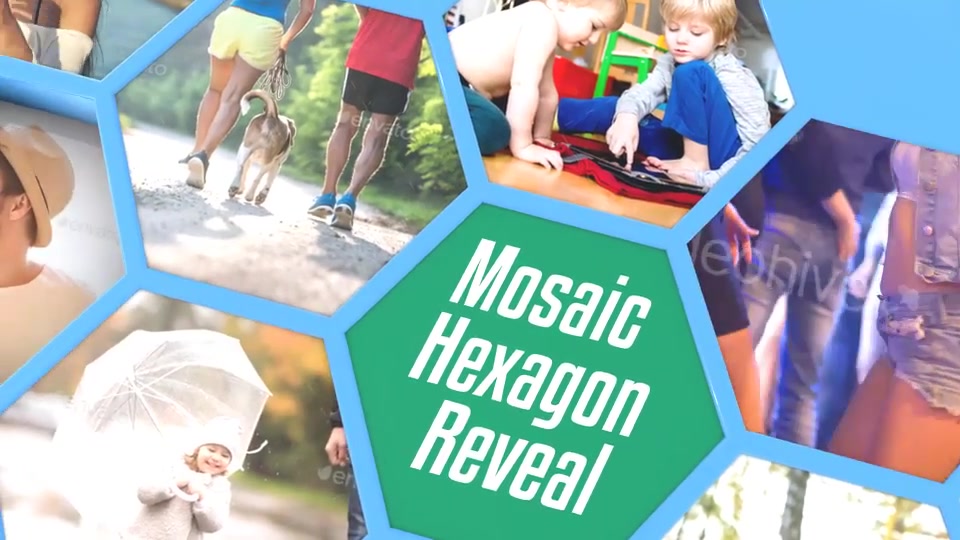 Mosaic Hexagon Reveal - Download Videohive 19740371