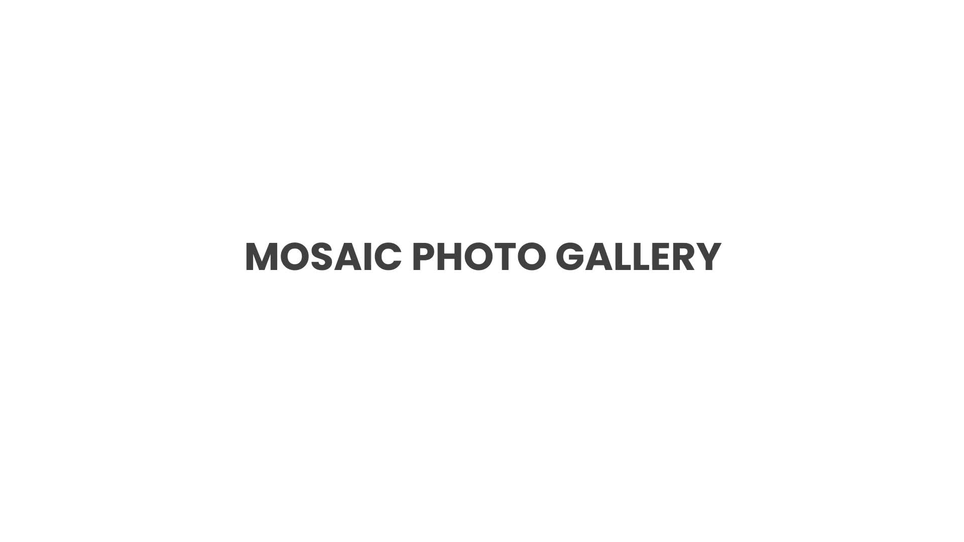Mosaic Photo Gallery Videohive 32793286 After Effects Image 1