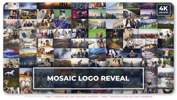 Mosaic Photo Logo Reveal - Download Videohive 49459871