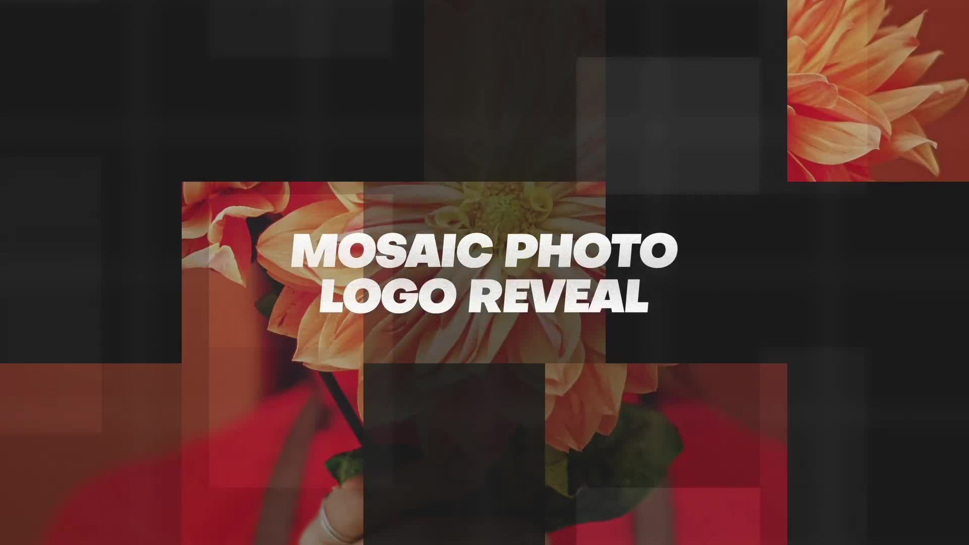 Mosaic Photo Logo Reveal | Premiere Pro Videohive 36047324 Premiere Pro Image 1