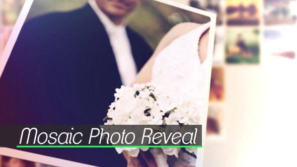 Mosaic Photo Reveal - Download Videohive 11419150