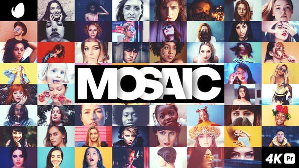 Mosaic Picture Wall for Premiere Pro - 40052437 Videohive Download