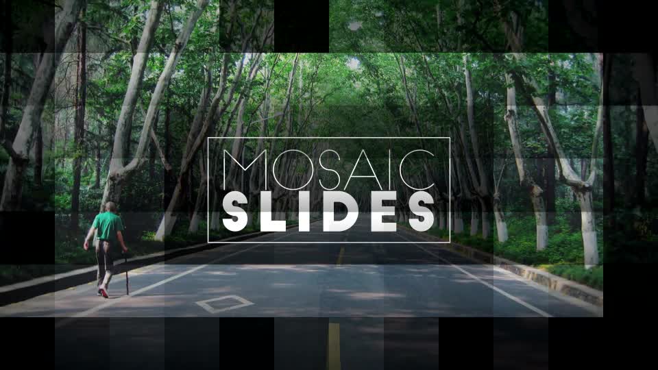 Mosaic Slides - Download Videohive 11819161