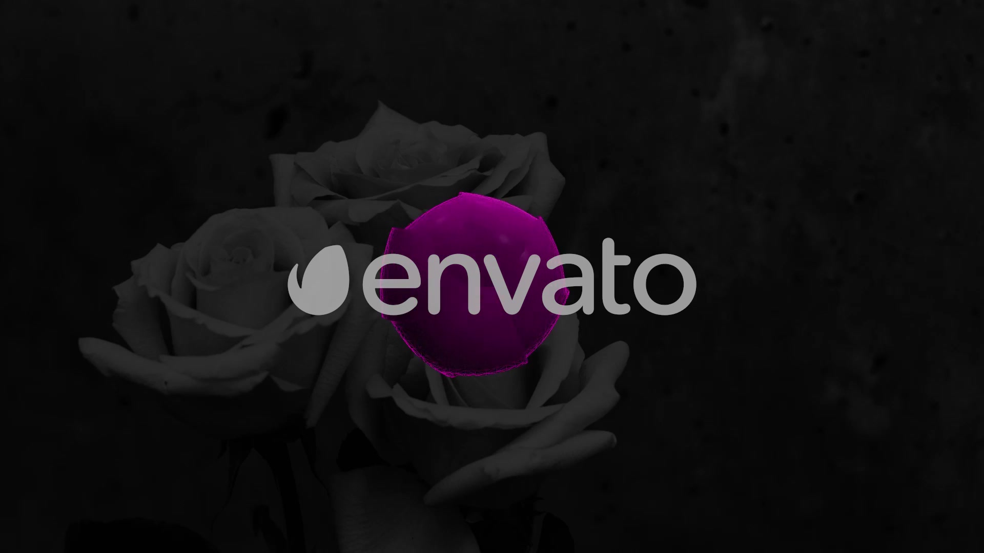 Mothers Day Titles Videohive 31743492 DaVinci Resolve Image 13