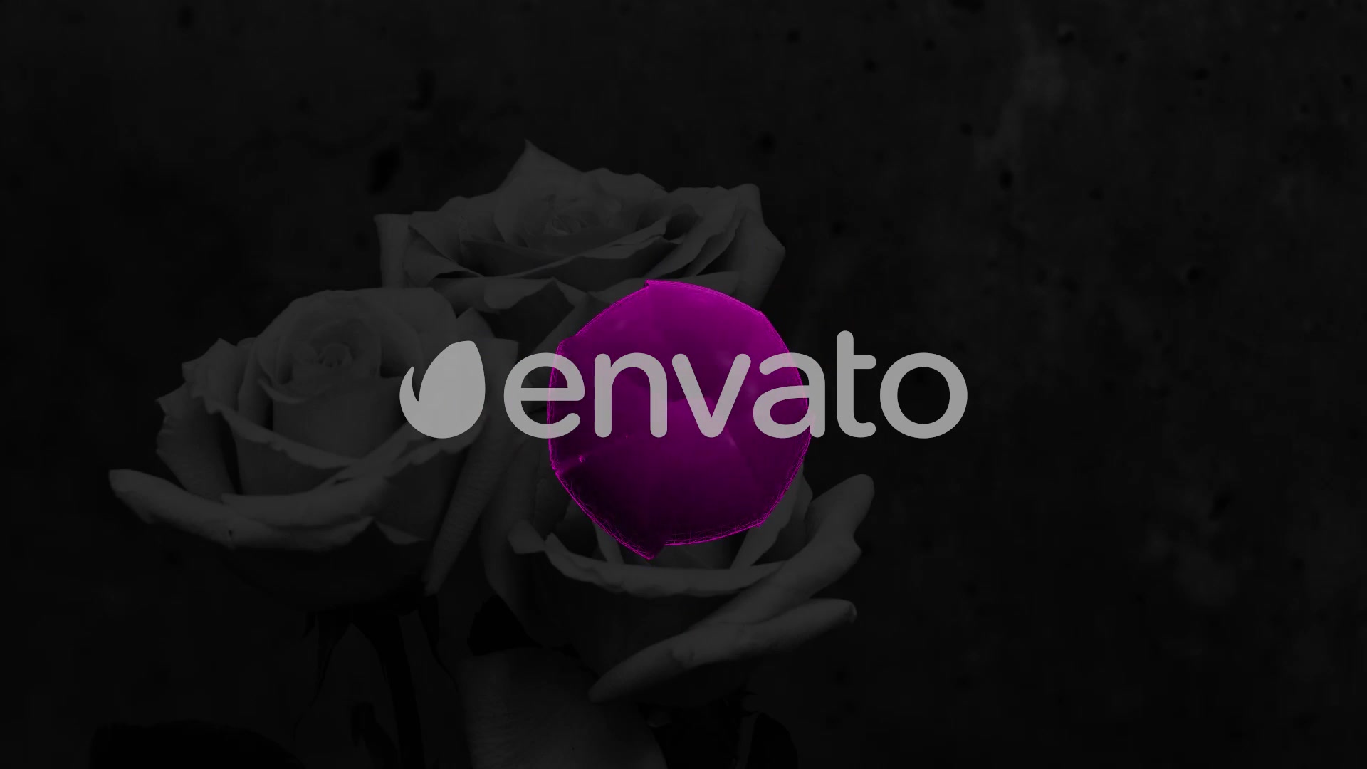 Mothers Day Titles Videohive 31743492 DaVinci Resolve Image 4