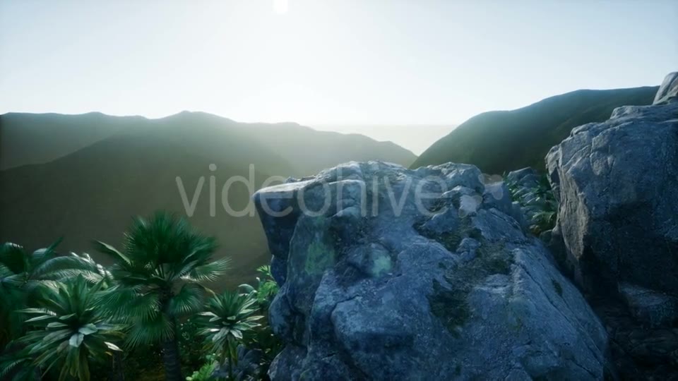 Mountain and Field Landscape with Palms - Download Videohive 20967493