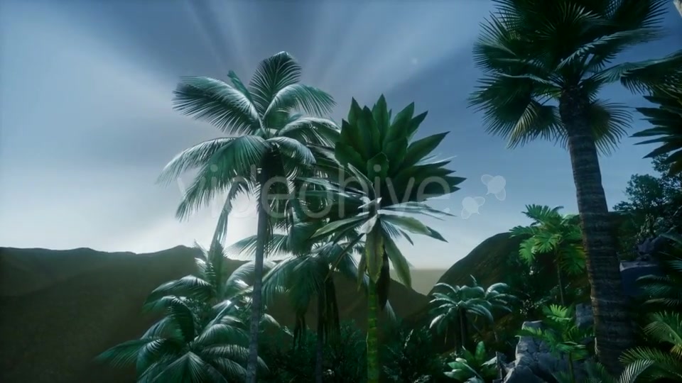 Mountain and Field Landscape with Palms - Download Videohive 20967493