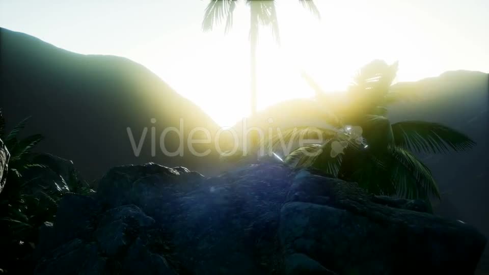 Mountain and Field Landscape with Palms - Download Videohive 21118269