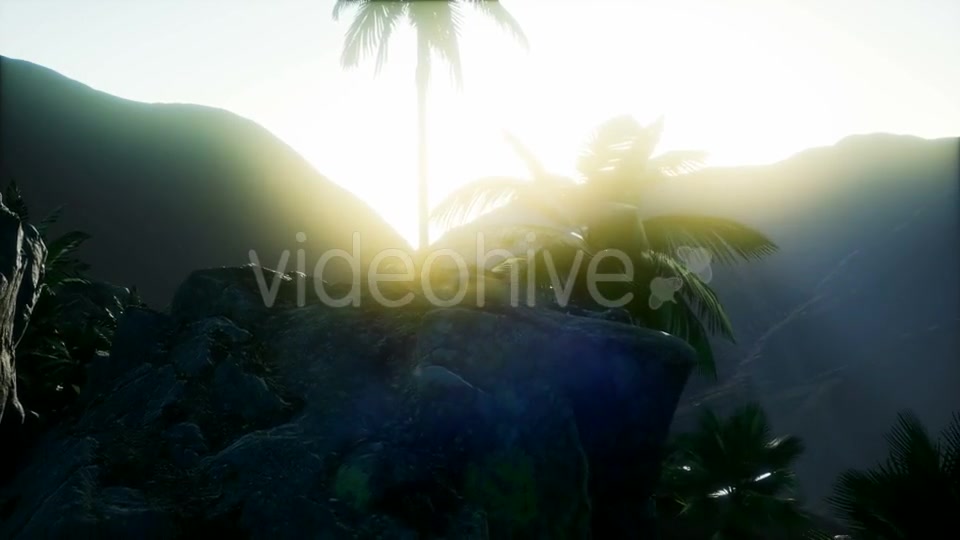 Mountain and Field Landscape with Palms - Download Videohive 21118269