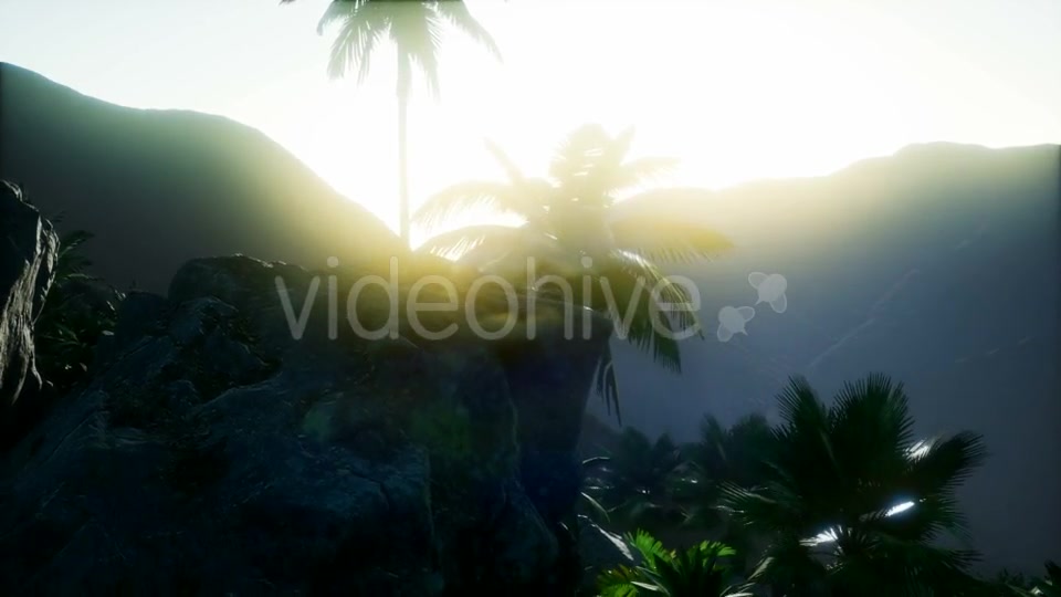 Mountain and Field Landscape with Palms - Download Videohive 21118269