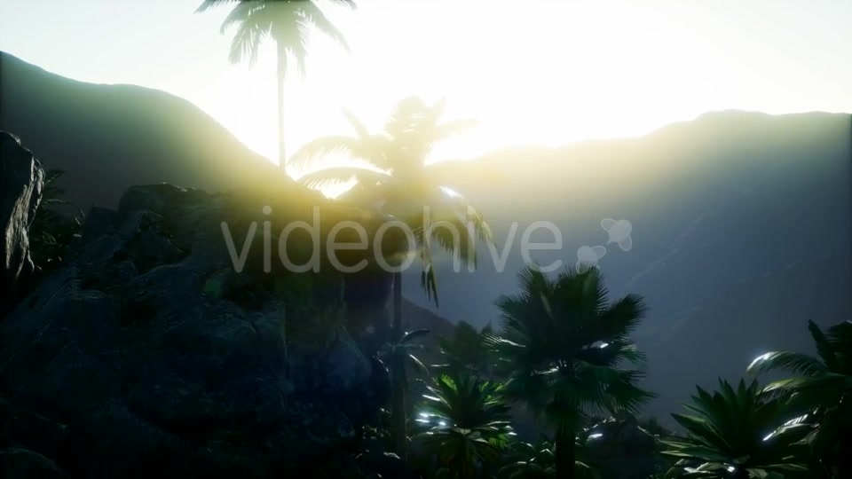 Mountain and Field Landscape with Palms - Download Videohive 21118269
