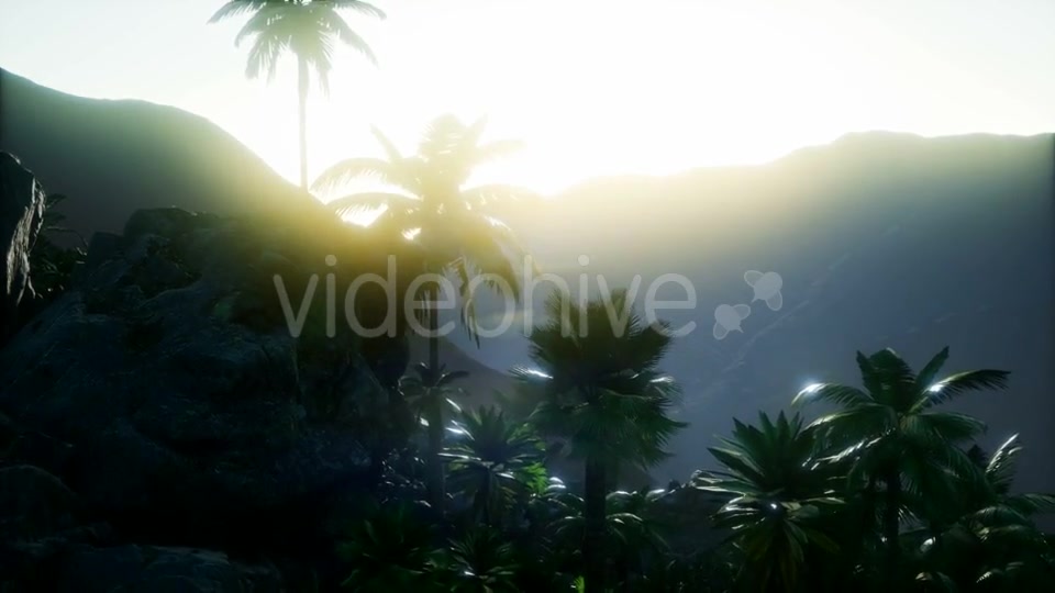 Mountain and Field Landscape with Palms - Download Videohive 21118269