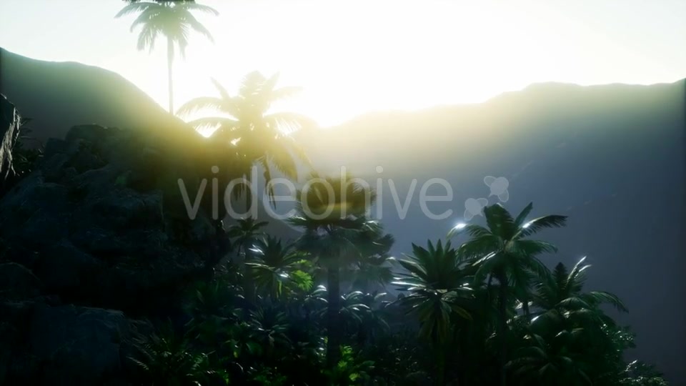 Mountain and Field Landscape with Palms - Download Videohive 21118269