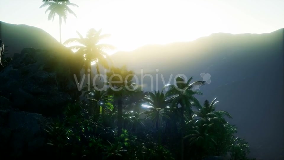 Mountain and Field Landscape with Palms - Download Videohive 21118269