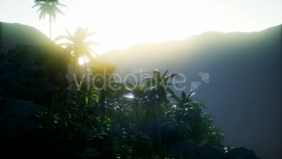 Mountain and Field Landscape with Palms - Download Videohive 21118269