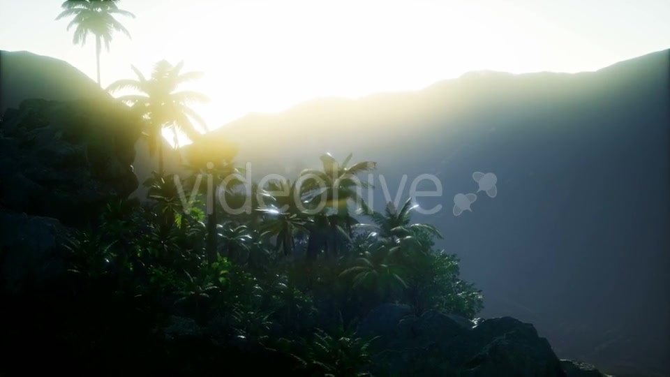 Mountain and Field Landscape with Palms - Download Videohive 21118269