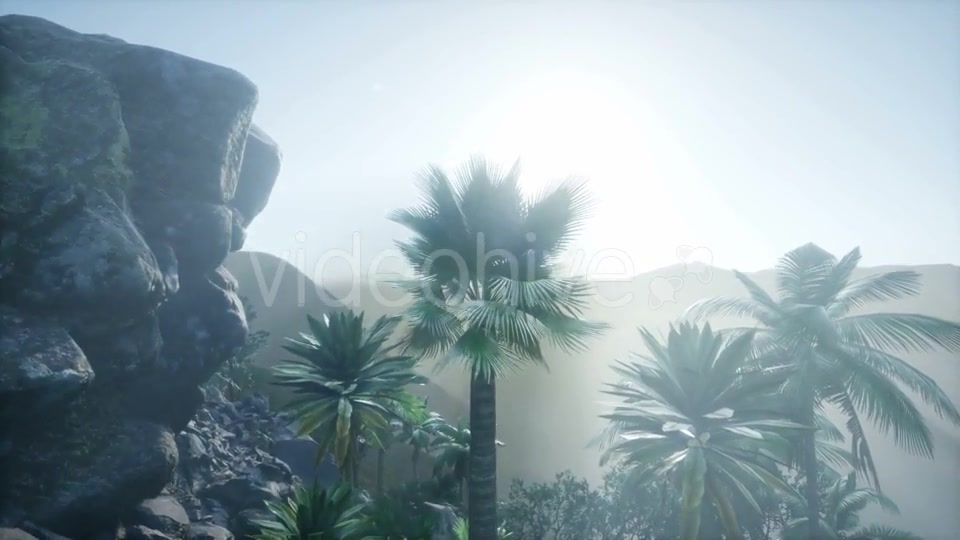 Mountain and Field Landscape with Palms - Download Videohive 21118374