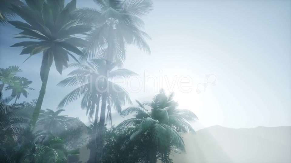 Mountain and Field Landscape with Palms - Download Videohive 21118374
