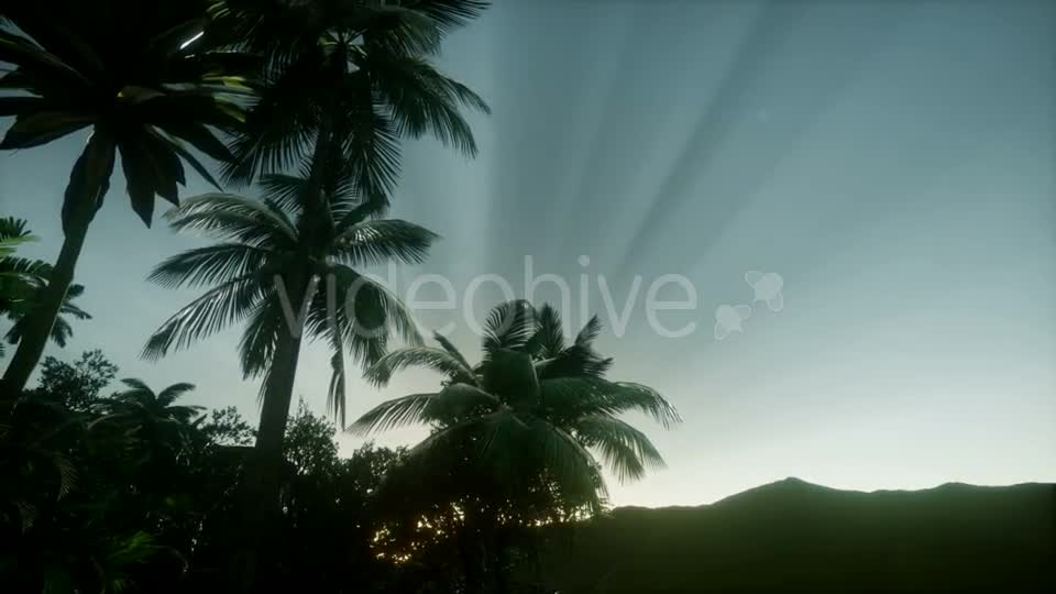 Mountain and Field Landscape with Palms - Download Videohive 21118559