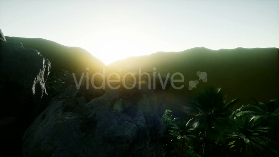 Mountain and Field Landscape with Palms - Download Videohive 21118559