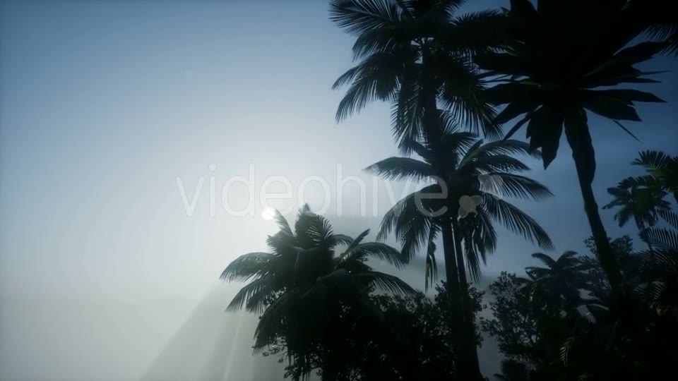 Mountain and Field Landscape with Palms - Download Videohive 21204755