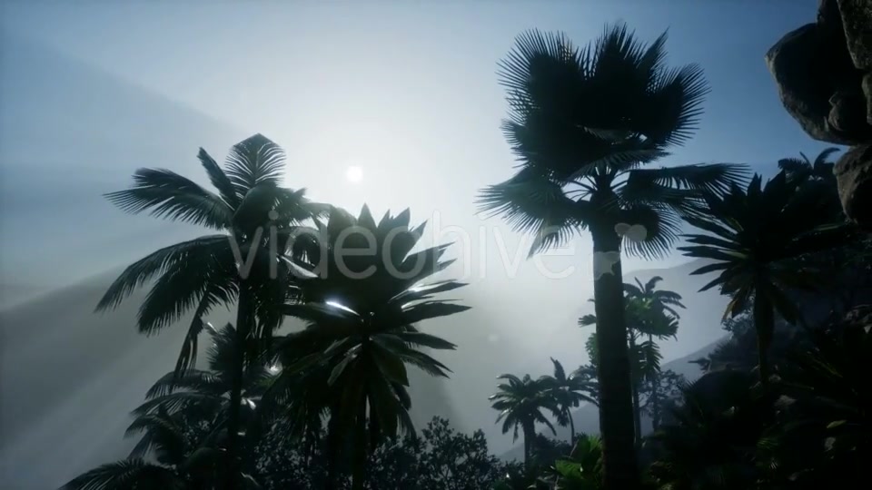 Mountain and Field Landscape with Palms - Download Videohive 21204755