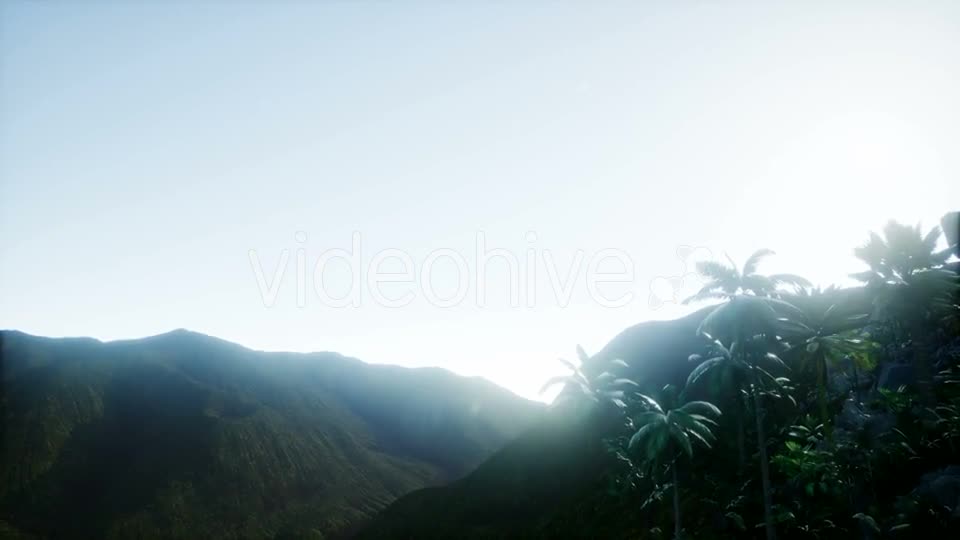 Mountain and Field Landscape with Palms - Download Videohive 21204821