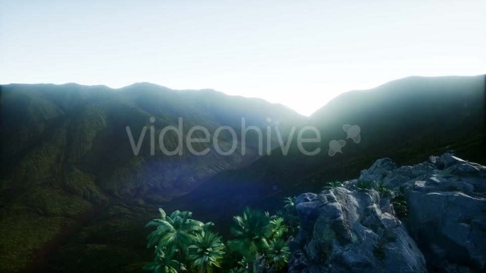 Mountain and Field Landscape with Palms - Download Videohive 21204821