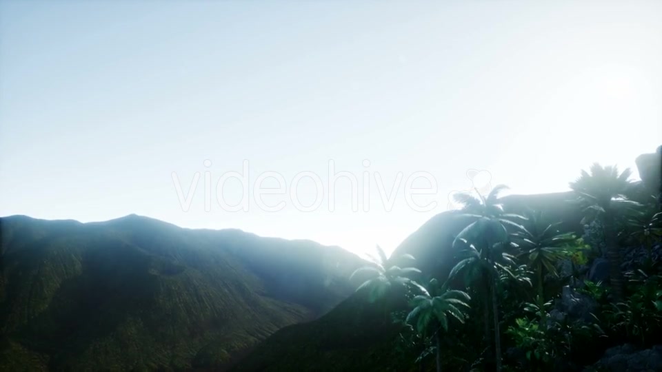 Mountain and Field Landscape with Palms - Download Videohive 21204821